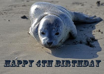 HAPPY 4TH BIRTHDAY
