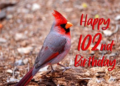 Happy 102nd Birthday