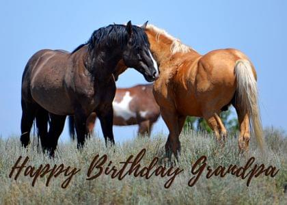 Happy Birthday Grandpa