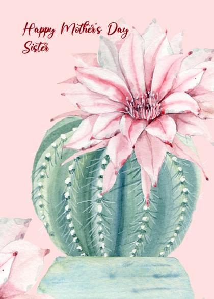 Send this "Cactus and Succulents" Mother's Day card w/ your own handwriting by mail directly from Signed. No need to leave your house. Do it all online for $7.99!