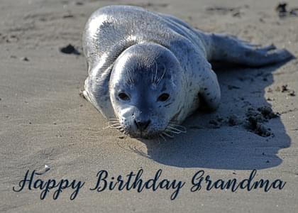 Happy Birthday Grandma