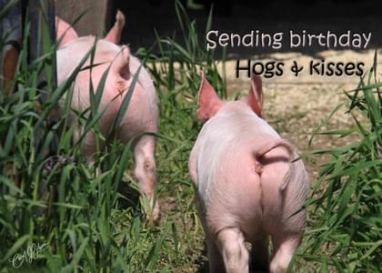 Sending birthday Hogs and kisses