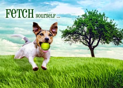 FETCH Yourself ..