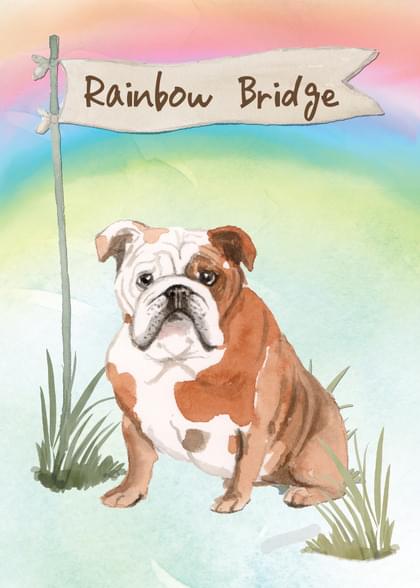 Send this "Bulldogs and Rainbow Bridge" Sympathy (Animals) card w/ your own handwriting by mail directly from Signed. No need to leave your house. Do it all online for $7.99!