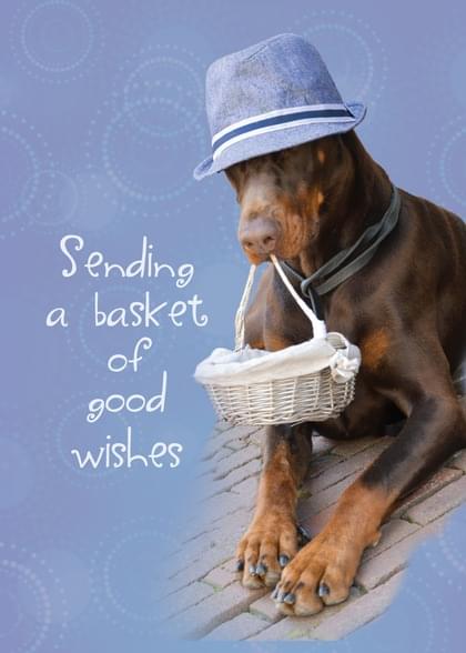 Send this "Dogs" Get Well (General) card w/ your own handwriting by mail directly from Signed. No need to leave your house. Do it all online for $7.99!