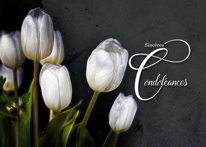 Send this "French Language and Tulips" Sympathy (People) card w/ your own handwriting by mail directly from Signed. No need to leave your house. Do it all online for $7.99!