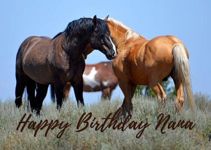 Happy Birthday Nana