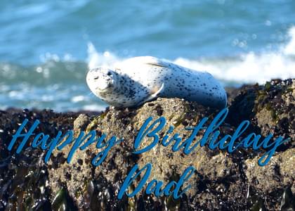 Happy Birthday Dad