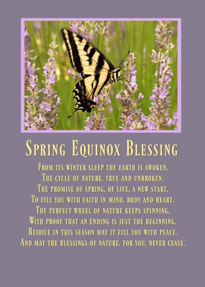 Send this "Butterflies" Spring card w/ your own handwriting by mail directly from Signed. No need to leave your house. Do it all online for $7.99!