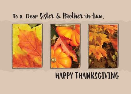 Send this "Pumpkins" Thanksgiving card w/ your own handwriting by mail directly from Signed. No need to leave your house. Do it all online for $7.99!