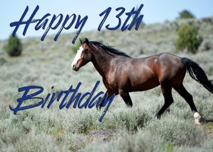 Happy 13th Birthday
