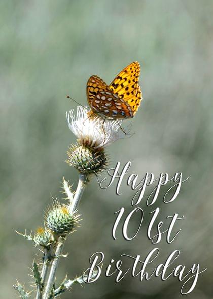 Happy 101st Birthday