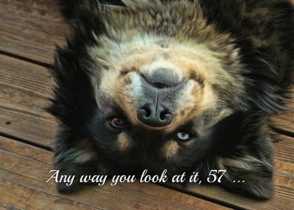 Any way you look at it, 57..