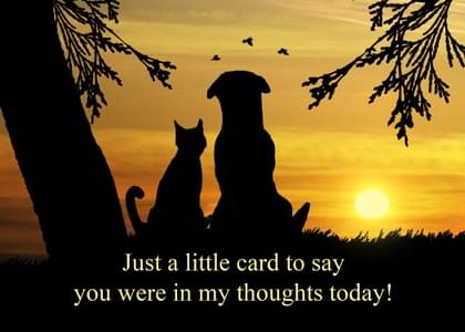 Send this "Sunrise/Sunset and Pets" Thinking Of You card w/ your own handwriting by mail directly from Signed. No need to leave your house. Do it all online for $7.99!
