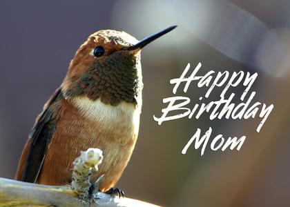 Send this "Hummingbirds and Simply Happy Birthday" Birthday card w/ your own handwriting by mail directly from Signed. No need to leave your house. Do it all online for $7.99!