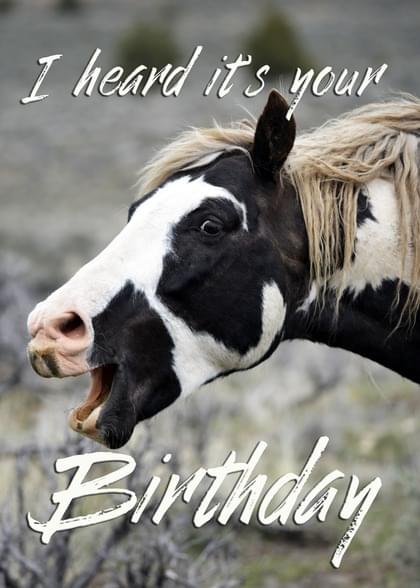 I heard it's your Birthday