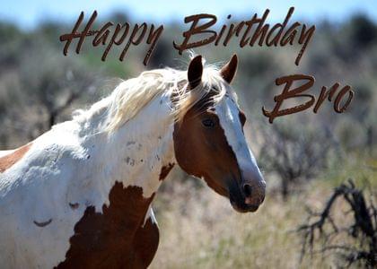Happy Birthday Bro