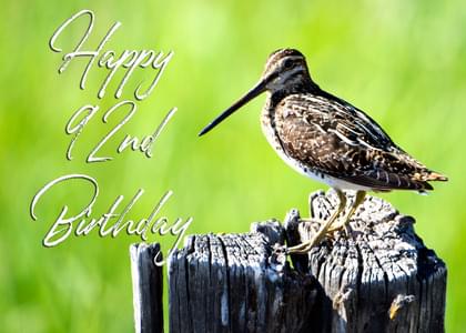 Happy 92nd Birthday