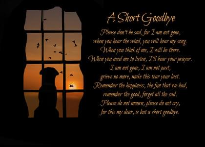 Send this "Dogs" Sympathy (Animals) card w/ your own handwriting by mail directly from Signed. No need to leave your house. Do it all online for $7.99!