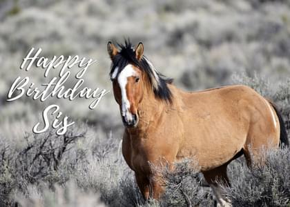 Happy Birthday Sis