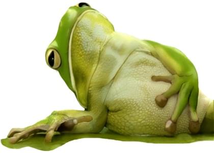 Send this "Frogs" Greeting card w/ your own handwriting by mail directly from Signed. No need to leave your house. Do it all online for $7.99!