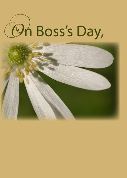 Send this "Daisies" Boss's Day card w/ your own handwriting by mail directly from Signed. No need to leave your house. Do it all online for $7.99!
