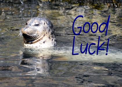 Send this &quot;Seals&quot; Best Wishes/Good Luck card w/ your own handwriting by mail directly from Signed. No need to leave your house. Do it all online for $7.99!