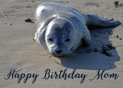 Happy Birthday Mom