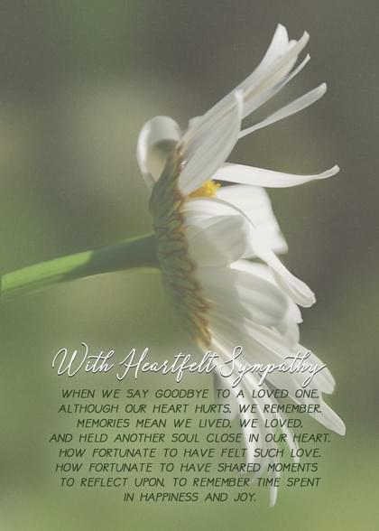 Send this "Daisies" Sympathy (People) card w/ your own handwriting by mail directly from Signed. No need to leave your house. Do it all online for $7.99!