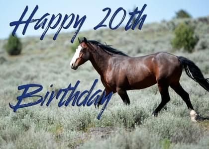 Happy 20th Birthday