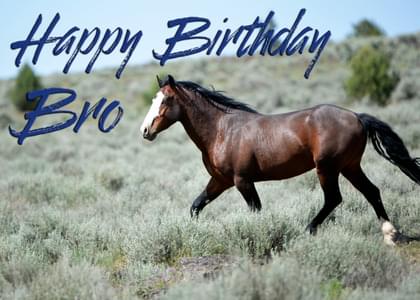 Happy Birthday Bro