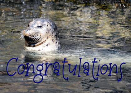 Seals Congratulations Card with your own Handwriting. Denise Bruchman ...