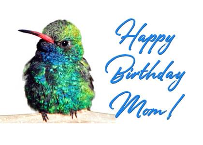 Send this "Hummingbirds" Birthday card w/ your own handwriting by mail directly from Signed. No need to leave your house. Do it all online for $7.99!