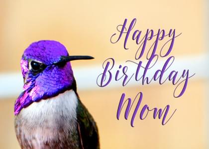Send this "Hummingbirds" Birthday card w/ your own handwriting by mail directly from Signed. No need to leave your house. Do it all online for $7.99!
