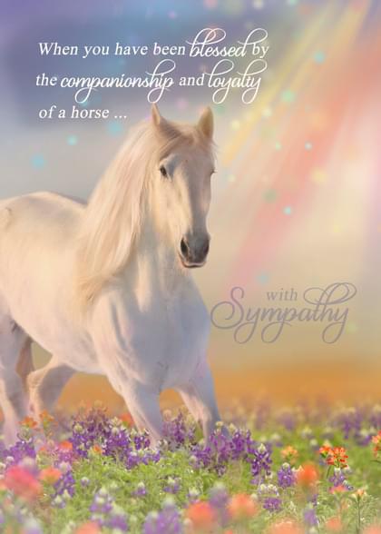 Send this "Horses" Sympathy (Animals) card w/ your own handwriting by mail directly from Signed. No need to leave your house. Do it all online for $7.99!