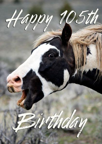 Happy 105th Birthday