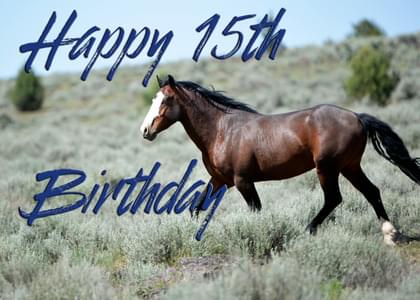 Happy 15th Birthday