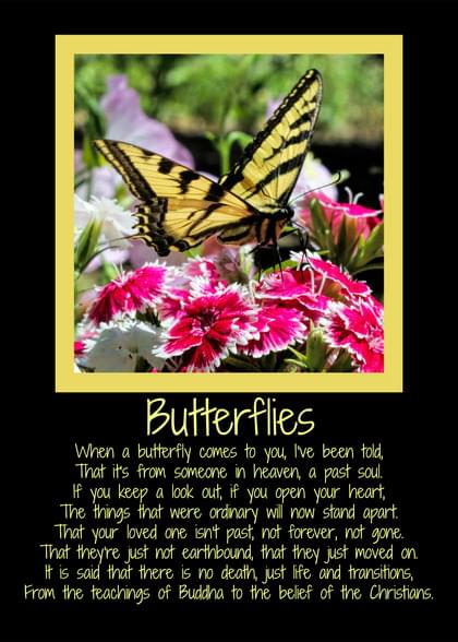 Send this "Butterflies" Sympathy (People) card w/ your own handwriting by mail directly from Signed. No need to leave your house. Do it all online for $7.99!