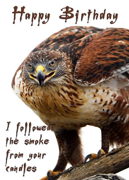 Send this "Hawks and Simply Happy Birthday" Birthday card w/ your own handwriting by mail directly from Signed. No need to leave your house. Do it all online for $7.99!