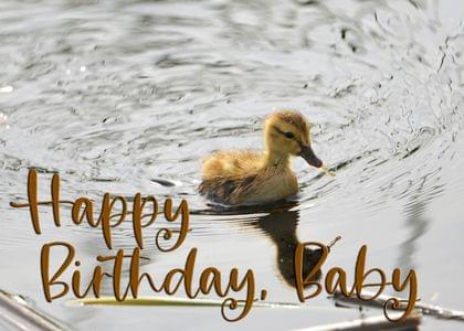 Happy Birthday, Baby