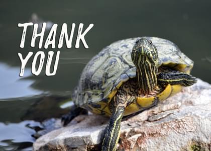 Send this "Turtles and Simply Happy Birthday" Thank You (General) card w/ your own handwriting by mail directly from Signed. No need to leave your house. Do it all online for $7.99!