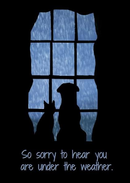 Send this "Cats and Dogs" Get Well (General) card w/ your own handwriting by mail directly from Signed. No need to leave your house. Do it all online for $7.99!