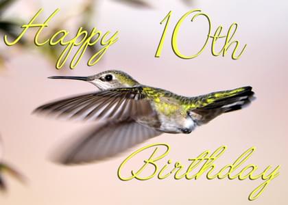 Happy 10th Birthday