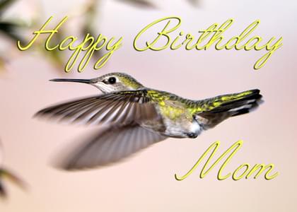 Happy Birthday Mom