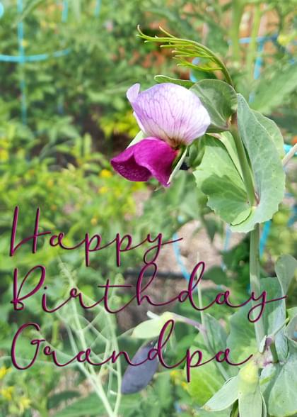 Happy Birthday Grandpa