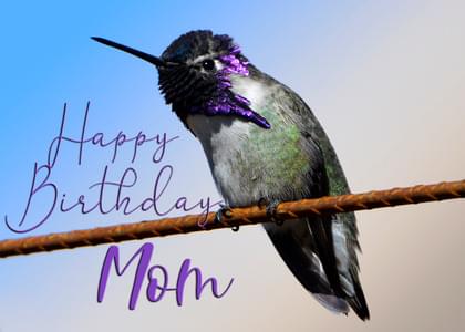 Happy Birthday Mom