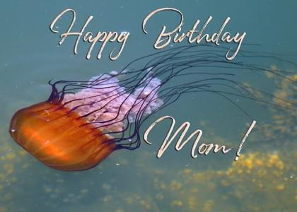 Happy Birthday Mom!