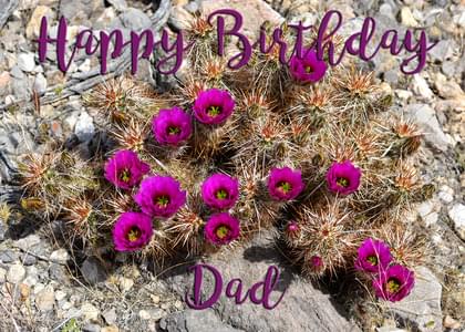 Happy Birthday Dad