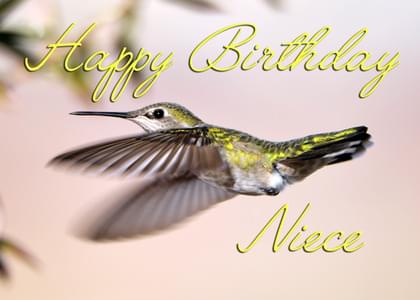 Happy Birthday Niece
