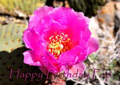 Happy Birthday Pop